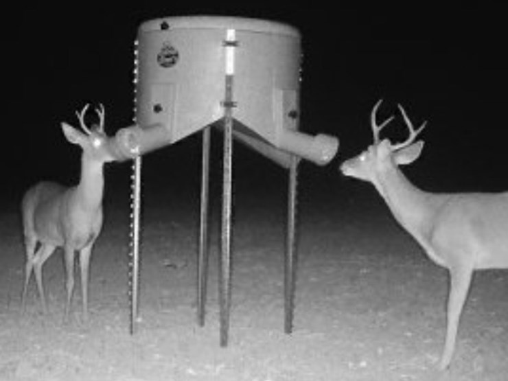 #8052-•-uncle-dans-deer-feeder-image-2