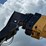 2020-caterpillar-tl1255d-image-19