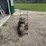 swisher-weed-eater-image-3