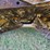 caterpillar-d4d-image-74