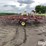 kewanee-390-image-19