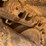 2019-caterpillar-d6-lgp-image-16