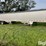 2015-wilson-43'-x-96"-image-4