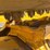 2017-caterpillar-299d2-xhp-image-17