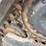 2022-bobcat-t595-image-14