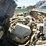 2019-ford-f650-image-22