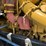 2001-caterpillar-c11-image-62