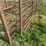 **sold-onsite-only---no-online-bids-will-be-accepted**-livestock-equipment-image-13