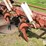 international-720-image-12