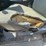 2003-ford-f350-image-53