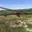 westfield-100-61-auger-image-4