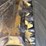 2014-caterpillar-279d-image-11