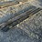 #2074-•-84"-skid-steer-forks-inv#:-24898-image-1