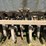 john-deere-10-image-12
