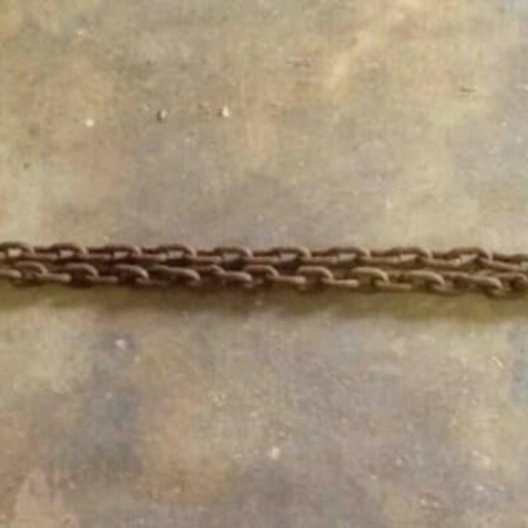 8' Chain w/ 2 Hooks