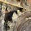 komatsu-pc200-image-6