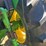 2015-john-deere-5065e-image-32