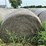 2024-mixed-grass-hay-round-bales-(bid-per-unit)-image-5