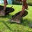 international-770-image-10