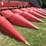 case-ih-1063-image-3