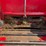 ndeco-s550-mixer-wagon--1-owner-image-55