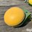 john-deere-itc-receiver-image-1