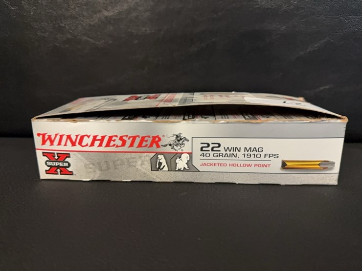 winchester-22-win-mag-(ammo)-image-1
