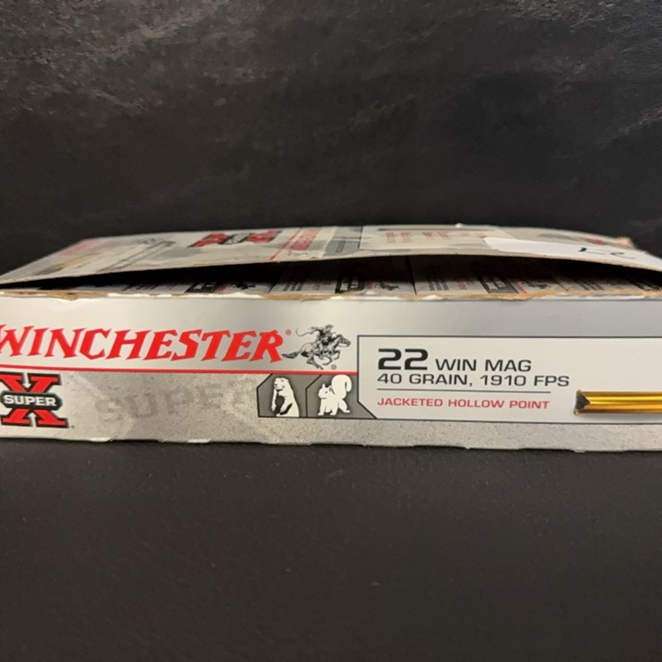 Winchester 22 Win Mag (Ammo)