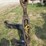 category-3-quick-hitch-image-3