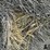 2024-mixed-grass-hay-round-bales-(bid-per-unit)-image-9