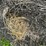 2024-mixed-grass-hay-round-bales-(bid-per-unit)-image-8