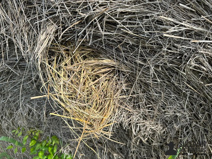 2024-mixed-grass-hay-round-bales-(bid-per-unit)-image-8