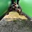 2013-john-deere-612c-image-14