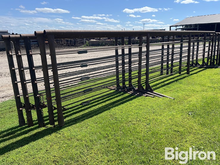 feedlot-panels-image-7