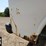 2006-cargo-express-image-42
