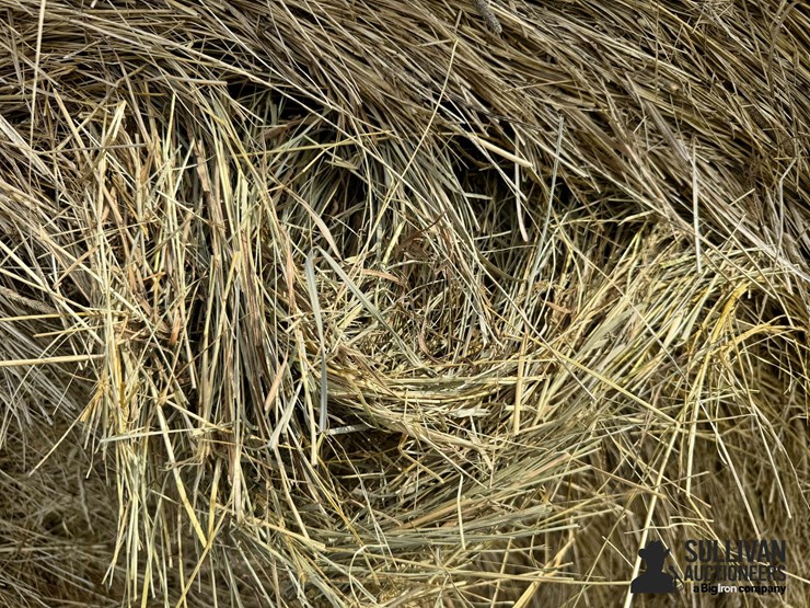 2024-mixed-grass-hay-round-bales-(bid-per-unit)-image-20