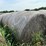 2024-mixed-grass-hay-round-bales-(bid-per-unit)-image-4