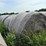 2024-mixed-grass-hay-round-bales-(bid-per-unit)-image-4