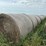 2024-mixed-grass-hay-round-bales-(bid-per-unit)-image-1