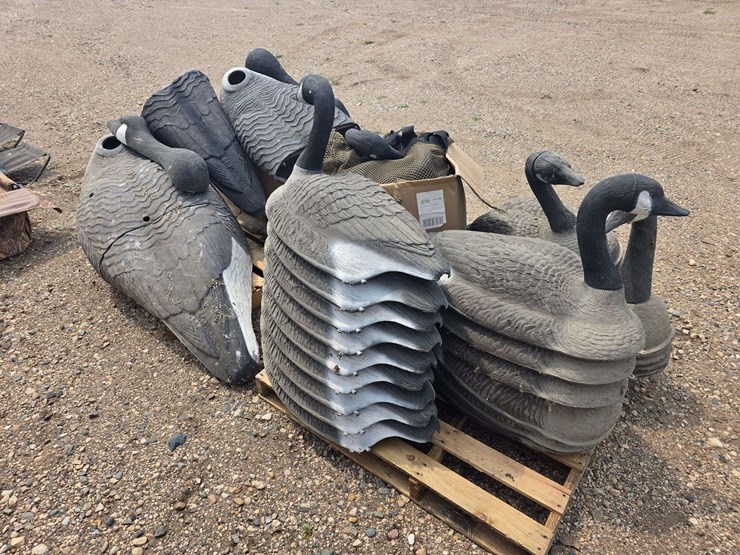 large-lot-of-full-body-standard-shells-and-floating-shells,-approx-30-total,-buying-all-for-one-mone-image-1