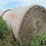 2024-mixed-grass-hay-round-bales-(bid-per-unit)-image-6