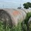 2024-mixed-grass-hay-round-bales-(bid-per-unit)-image-6