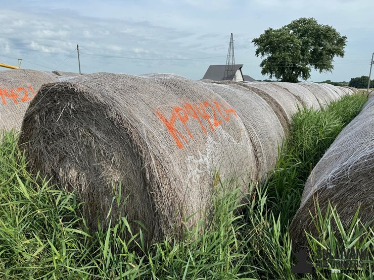 2024-mixed-grass-hay-round-bales-(bid-per-unit)-image-6