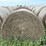 2024-mixed-grass-hay-round-bales-(bid-per-unit)-image-5