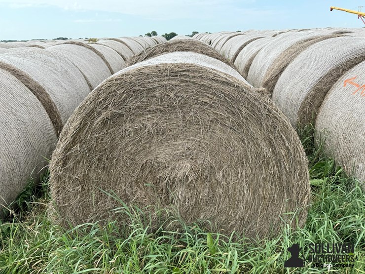 2024-mixed-grass-hay-round-bales-(bid-per-unit)-image-5