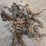 misc-gopher-traps-image-1