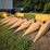 corn-head-image-1