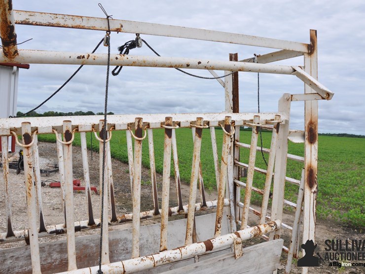 portable-cattle-chute-image-17