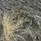 2024-mixed-grass-hay-round-bales-(bid-per-unit)-image-7