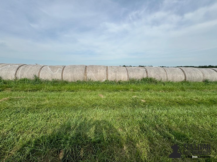 2024-mixed-grass-hay-round-bales-(bid-per-unit)-image-11